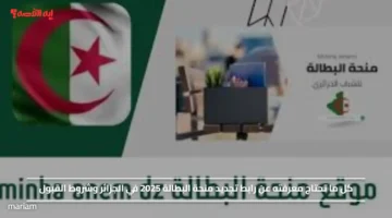 كل ما تحتاج معرفته عن رابط تجديد منحة البطالة 2025 في الجزائر وشروط القبول